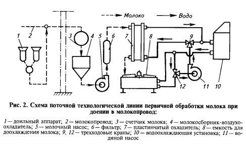 Технологическая схема переработки молока