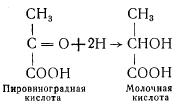 Химические основы производства кисломолочных продуктов (часть 1)