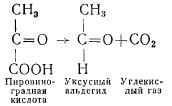 Химические основы производства кисломолочных продуктов (часть 3)